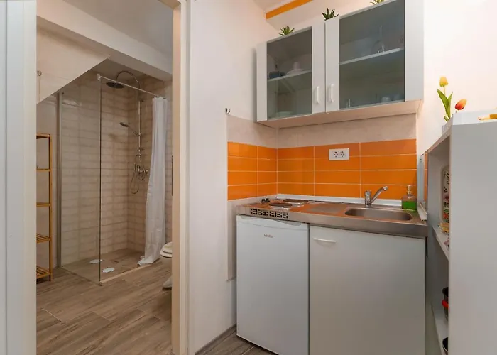 Διαμέρισμα Casa Albina Ρόβινι