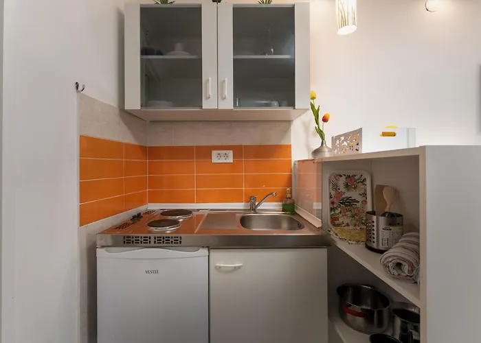 Casa Albina Ρόβινι